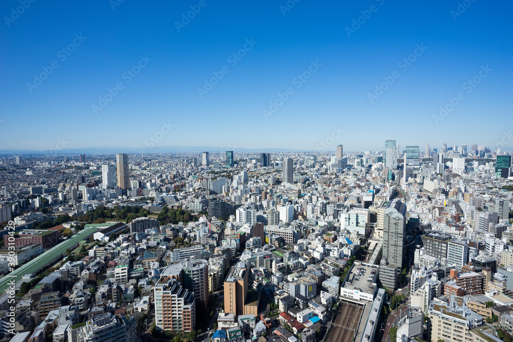 Fototapeta premium 東京パノラマビュー
