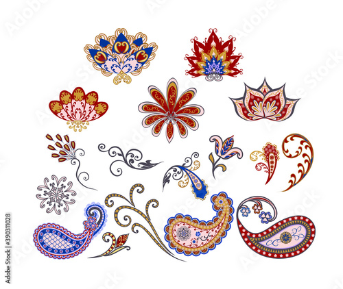 Vector decorative design Paisley, floral elements.