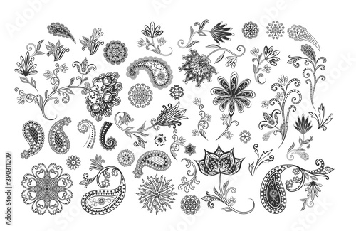 Vector decorative design Paisley, floral elements.