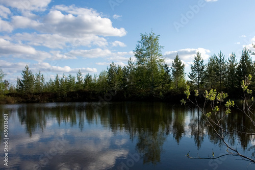 Lake in the forest