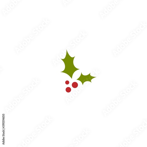 Holly berry flat icon. Christmas symbol vector illustration. holiday