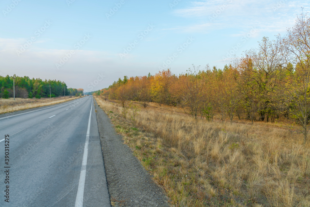 autumn forest landscape with blue sky background autumn forest landscape with blue sky background