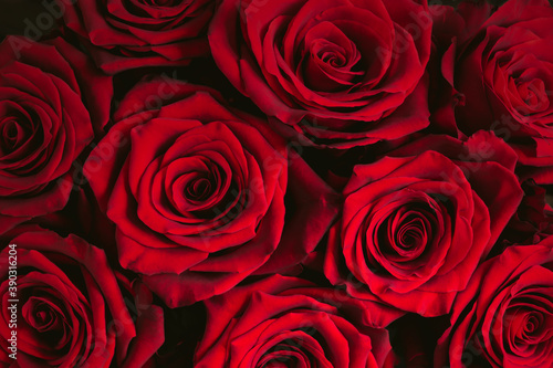 Bouquet of dark red roses background.