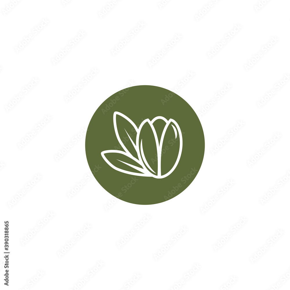 Argan nut in green circle icon. beauty and cosmetics oil. Cosmetic ingredient carotene, carotin. Argan nut in green circle icon. beauty and cosmetics oil. Cosmetic ingredient carotene, carotin.