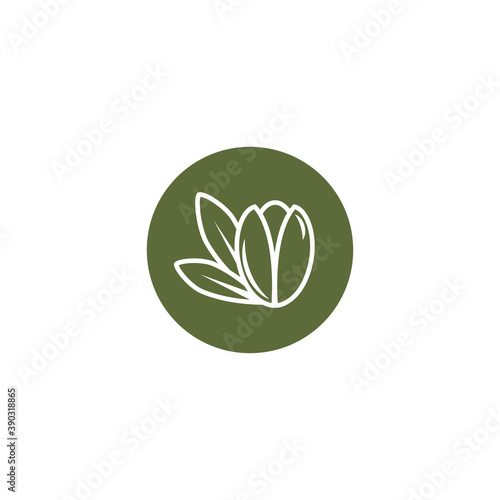 Argan nut in green circle icon. beauty and cosmetics oil. Cosmetic ingredient carotene, carotin.