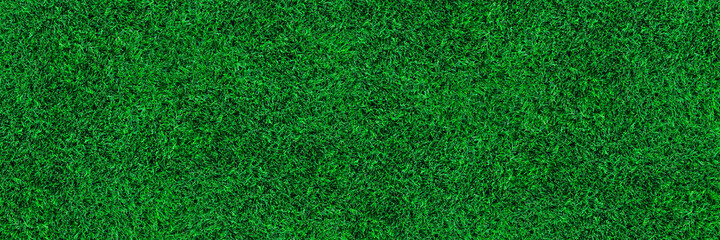 horizontal green turf texture for pattern and background