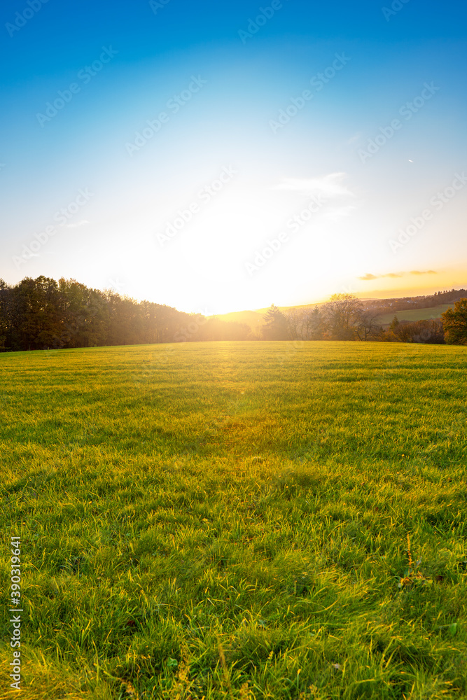 Schöne Landschaft mit grüner Wiese und Wald während des Sonnenuntergangs Schöne Landschaft mit grüner Wiese und Wald während des Sonnenuntergangs