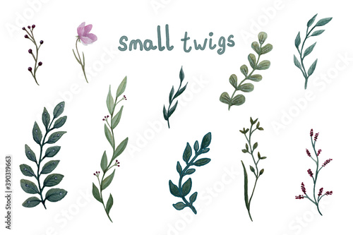 Set of flowers  leaves and branches. Hand illustration