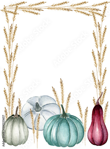 Watercolor template with wheat ears and pumpkins. Hand-painted floral frame with gourds and wheat. Seasonal illustration for print, design, greeting card, invitation card and fabric.
