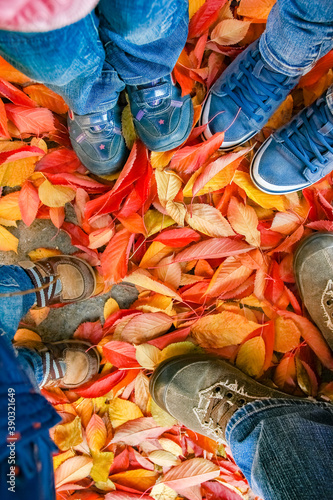 feet on the background of leaves in autumn on a background of the summer © Kostia