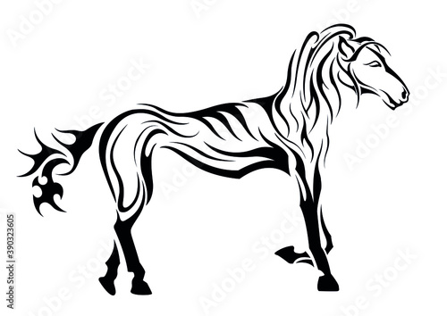 horse female mane and hooves