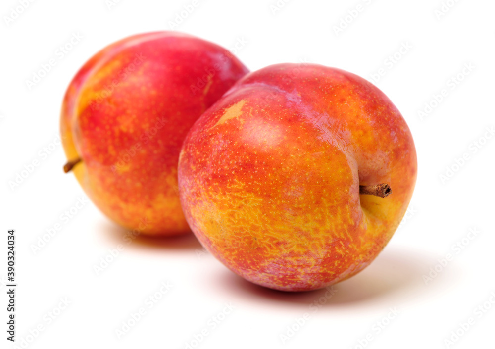 Sweet plum isolated on white background Sweet plum isolated on white background