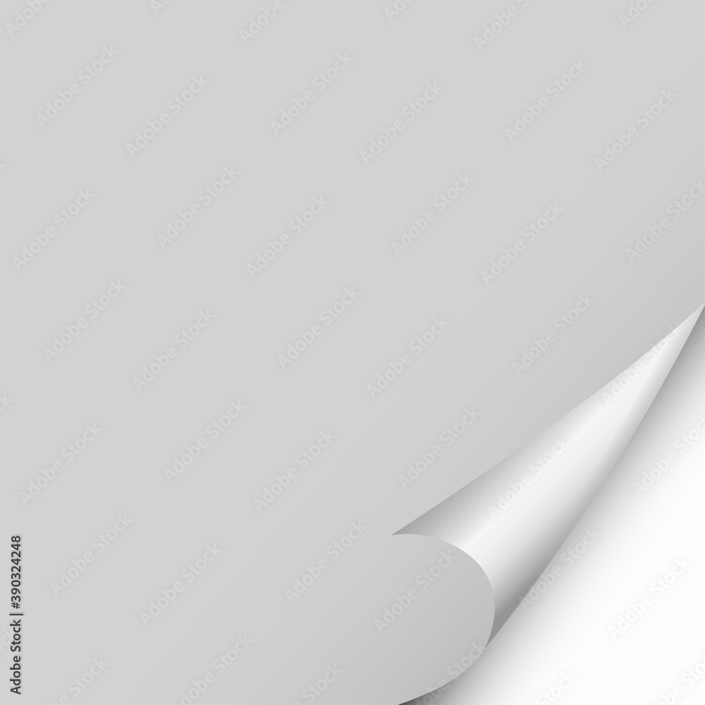 Gray paper with bent corner and white backing Gray paper with bent corner and white backing