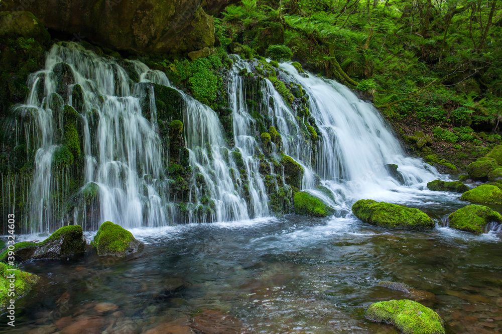 Obraz premium 元滝伏流水