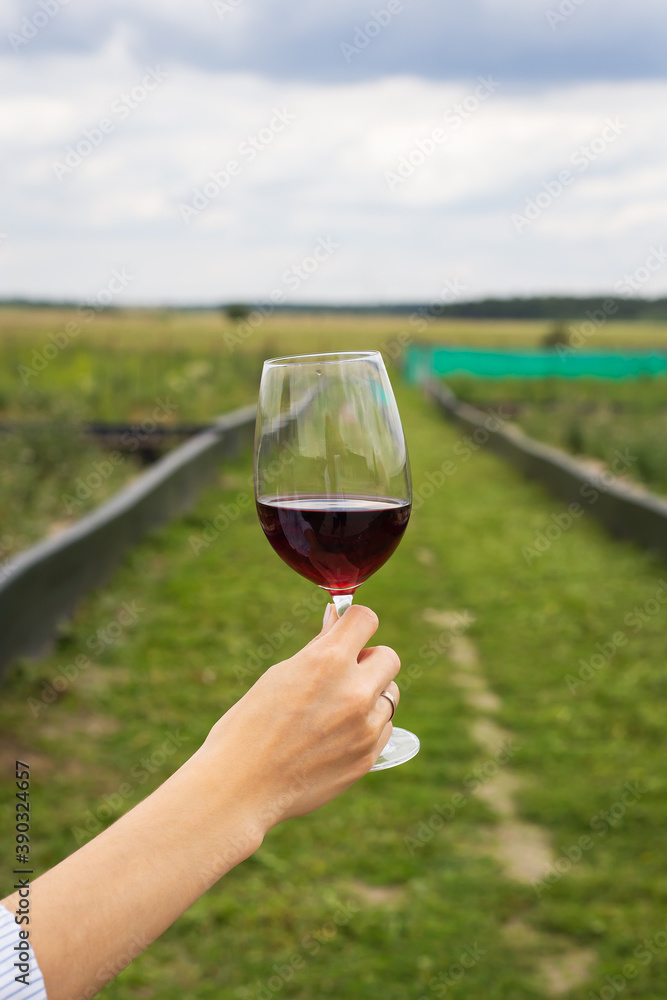Girl holding a glass of red wine in her hands on the street, vineyards, farm.