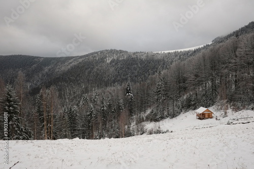 Small empty shepherd house near pine forest. Winter weather outdoor in the mountains. Carpathians, Ukraine