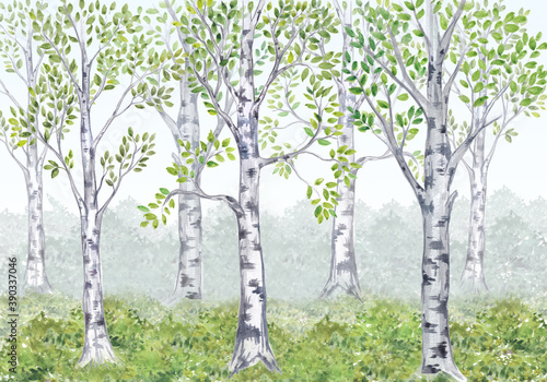 Watercolor birch grove. Watercolor illustration for children's stories. Interior printing.