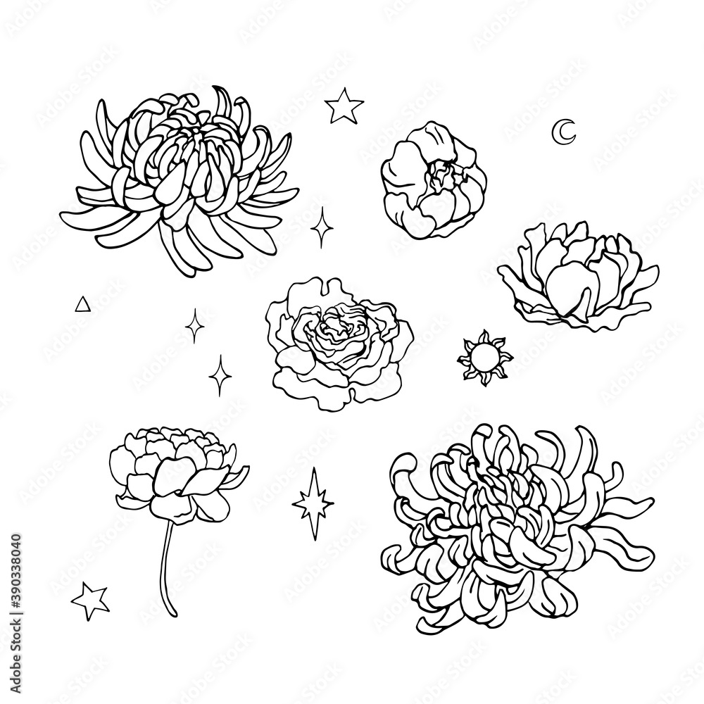 Hand drawn vector illustration of flowers. Magical outline clipart for logo, print, card, textil design. Alchemy, magic, esoteric, occult. Hand drawn vector illustration of flowers. Magical outline clipart for logo, print, card, textil design. Alchemy, magic, esoteric, occult.