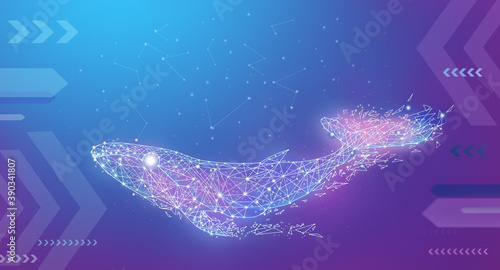 Creative whale poster background image, illustration background, illustration rendering
