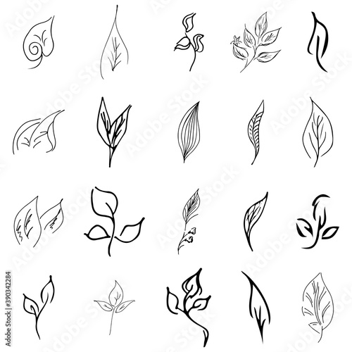 Doodle collection of 20 hand-drawn floral elements. Big collection of 20 hand-drawn leaves. Big floral botanical set isolated on a white background