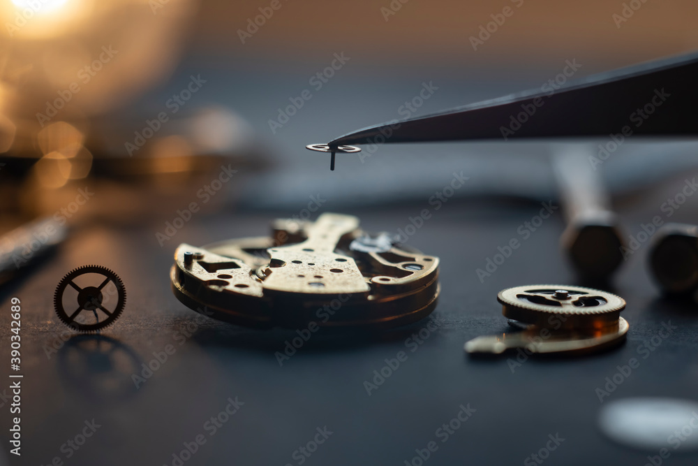 Mechanical watch assembly, watchmaker's with many parts and