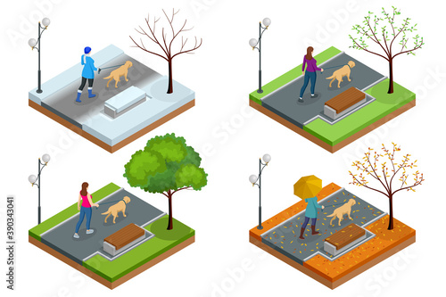 Isometric girl in casual clothes walking in park with golden retriever. Season winter, spring, summer, autumn. Pet care concept. Back view