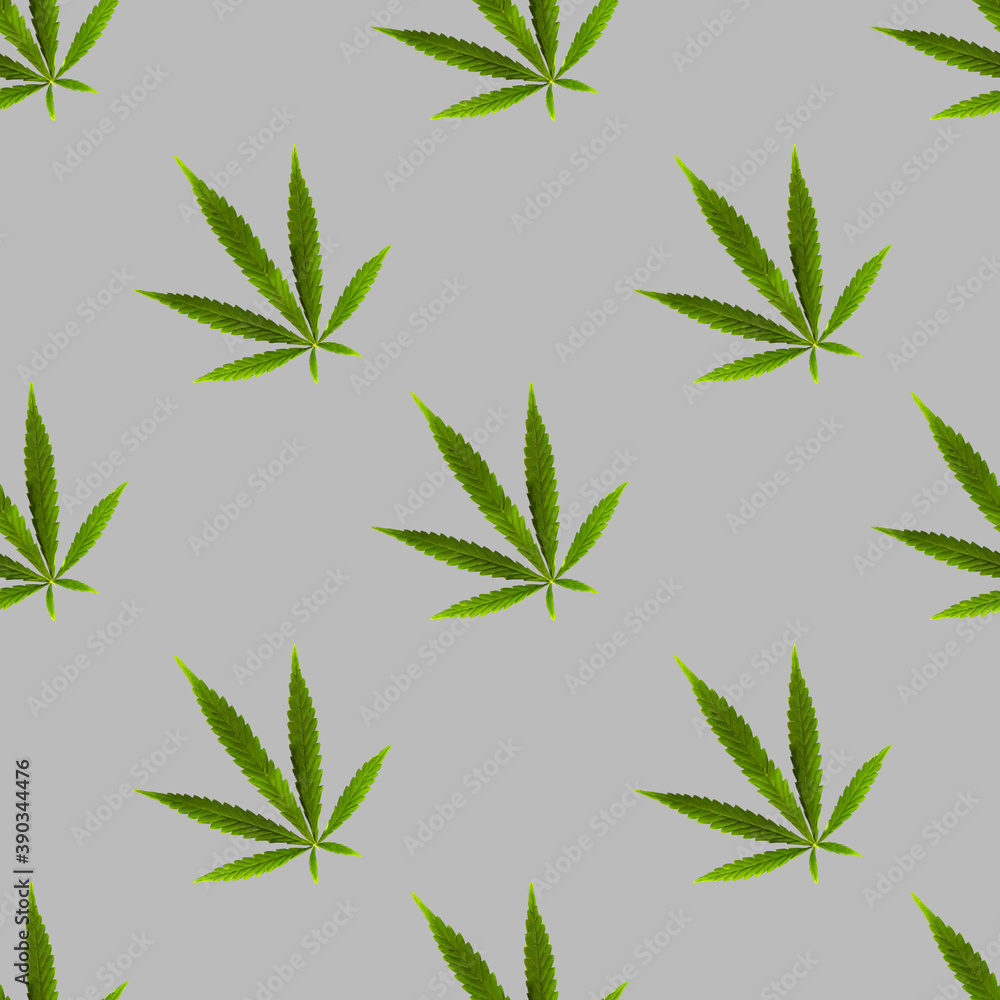 cannabis marijuana seamless pattern on pure grey  background