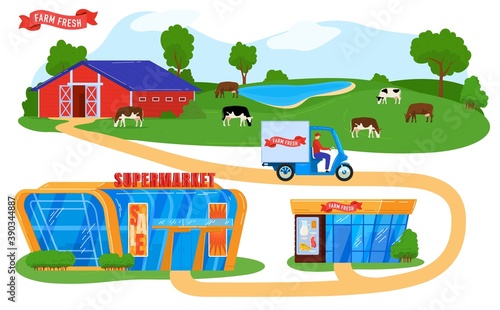 Farmers products supply chain vector illustration. Cartoon flat courier character on truck delivering fresh farmer eco food from village to supermarket, grocery store, supplying infographic background