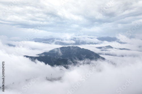 Mountain in the clouds. Foggy morning in Thailand mountains. © stpadcharin