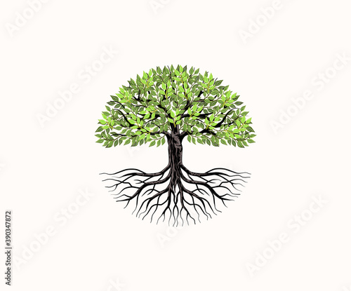 Tree and roots vector, tree with round shape