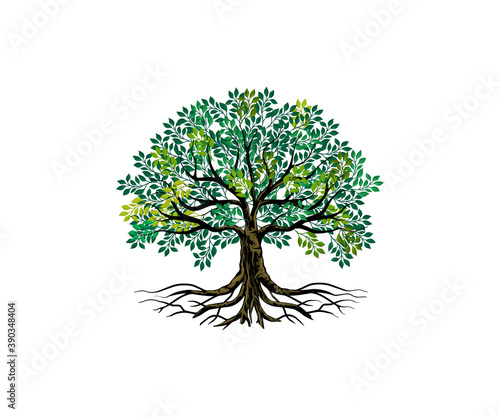 Canvastavla Tree and roots vector, tree with round shape