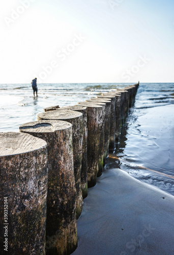 Row of wooden logs on the beach of Sianozety, Poland photo