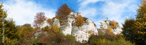 Jesień na Jurze Krakowsko-Częstochowskiej. Wapienna skała wśród drzew. Panorama.