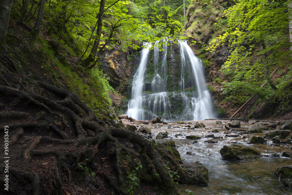 Fototapeta premium Josefstaler Wasserfälle im Wald, Gemeinde Schliersee, Bayern, Deutschland, Europa, Panorama