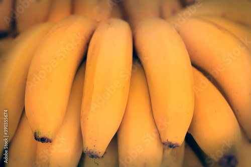 Reife gelbe Bananen