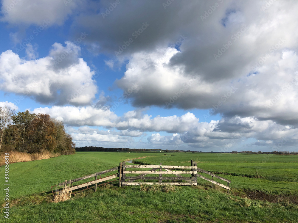 Fototapeta premium A nature reserve around Wolvega