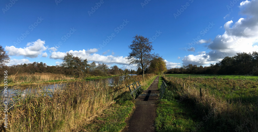 Panoramic from a bicycle path through a nature reserve around Wolvega