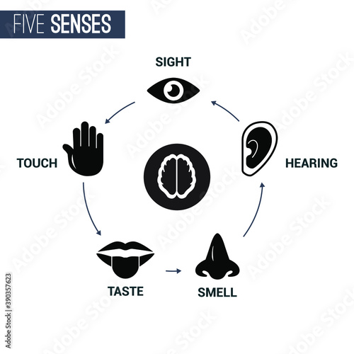 Senses of human perception icons set. Basic human feelings signs. Sight, hearing, smell, taste, touch. Eps10 vector illustration.