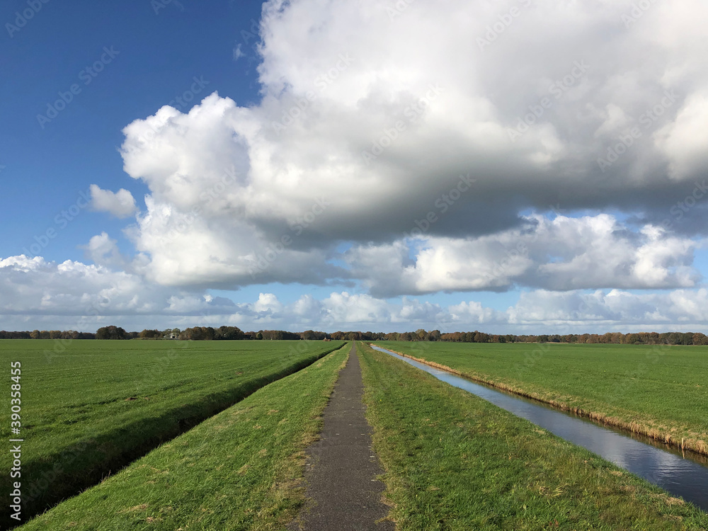 Path through grassland towards Nieuwehorne Path through grassland towards Nieuwehorne