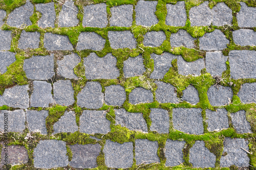 Fotografiet Cobblestoned pavement, green moss between brick background