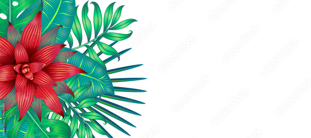 Banner with tropical leaves and a red flower. Banner with tropical leaves and a red flower.