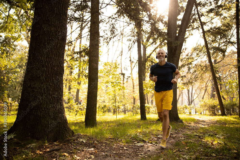 Jolly grizzled male running in sunny forest Jolly grizzled male running in sunny forest
