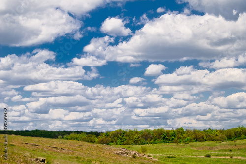 Beautiful field with forest in background and blue cloudy sky - summer or spring landscape © Dmitry Kovalchuk