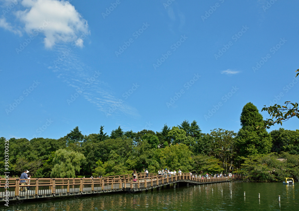 井の頭恩賜公園・青空と七井橋