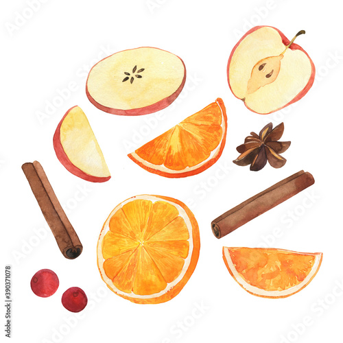Set of fresh fruit: apple and orange, red berry, anise star and cinnamon. Hand drawn watercolor illustration.