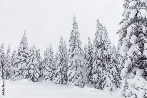 Winter landscape. Zyuratkul national Park, Chelyabinsk region, South Ural, Russia.