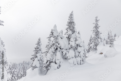 Wallpaper Mural Winter landscape. Zyuratkul national Park, Chelyabinsk region, South Ural, Russia. Torontodigital.ca