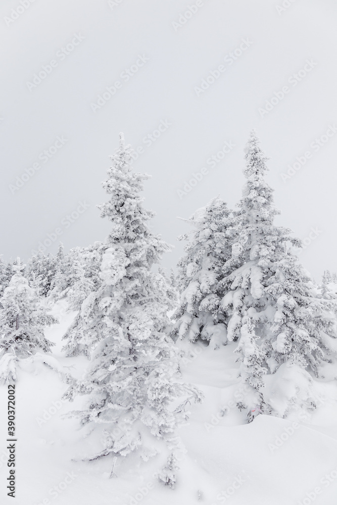 Winter landscape. Zyuratkul national Park, Chelyabinsk region, South Ural, Russia.