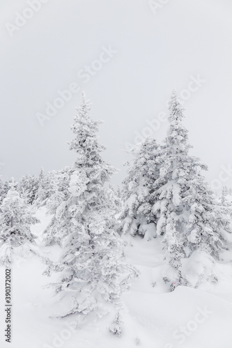 Wallpaper Mural Winter landscape. Zyuratkul national Park, Chelyabinsk region, South Ural, Russia. Torontodigital.ca