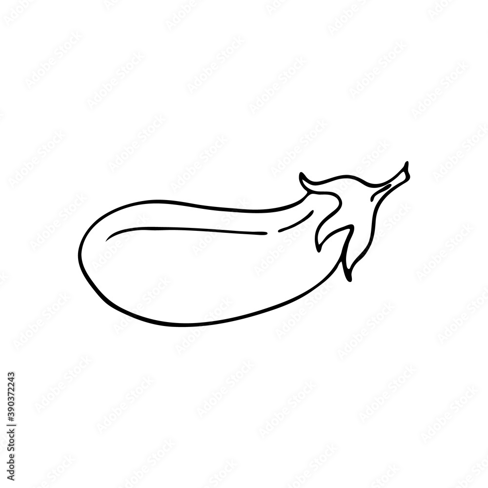 Doodle eggplant. Hand-drawn images. Vector for posters, web, textiles, children's coloring pages. Doodle eggplant. Hand-drawn images. Vector for posters, web, textiles, children's coloring pages.
